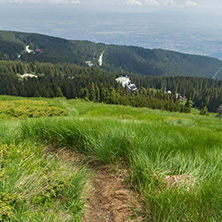 Panorama with green hills at Vitosha Mountain, Sofia City Region, Bulgaria