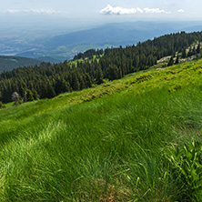 Panorama with green hills at Vitosha Mountain, Sofia City Region, Bulgaria