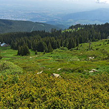 Panorama with green hills at Vitosha Mountain, Sofia City Region, Bulgaria