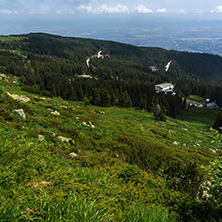 Panorama with green hills at Vitosha Mountain, Sofia City Region, Bulgaria