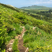 Panorama with green hills at Vitosha Mountain, Sofia City Region, Bulgaria