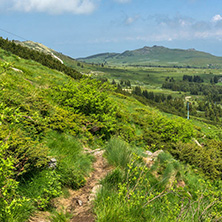 Panorama with green hills at Vitosha Mountain, Sofia City Region, Bulgaria