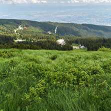 Panorama with green hills at Vitosha Mountain, Sofia City Region, Bulgaria