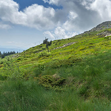 Panorama with green hills at Vitosha Mountain, Sofia City Region, Bulgaria