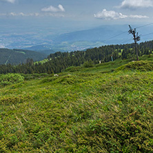 Panorama with green hills at Vitosha Mountain, Sofia City Region, Bulgaria