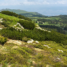 Panorama with green hills at Vitosha Mountain, Sofia City Region, Bulgaria