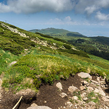 Panorama with green hills at Vitosha Mountain, Sofia City Region, Bulgaria