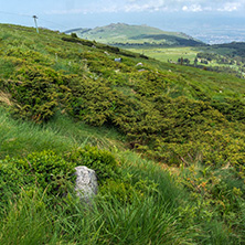 Panorama with green hills at Vitosha Mountain, Sofia City Region, Bulgaria