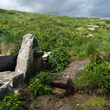 Panorama with green hills at Vitosha Mountain, Sofia City Region, Bulgaria