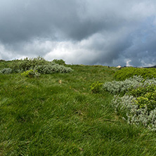 Panorama with green hills at Vitosha Mountain, Sofia City Region, Bulgaria