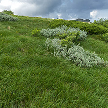 Landscape with hills of Vitosha Mountain, Sofia City Region, Bulgaria