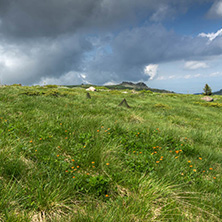 Landscape with hills of Vitosha Mountain, Sofia City Region, Bulgaria