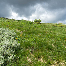 Landscape with hills of Vitosha Mountain, Sofia City Region, Bulgaria