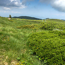 Landscape with hills of Vitosha Mountain, Sofia City Region, Bulgaria