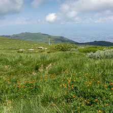 Landscape with hills of Vitosha Mountain, Sofia City Region, Bulgaria