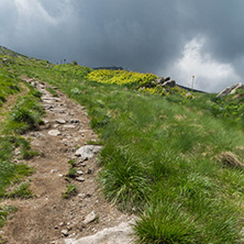 Landscape with hills of Vitosha Mountain, Sofia City Region, Bulgaria