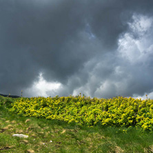 Landscape with hills of Vitosha Mountain, Sofia City Region, Bulgaria