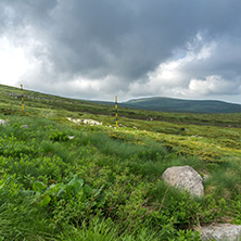 Panorama with green hills of Vitosha Mountain near Cherni Vrah Peak, Sofia City Region, Bulgaria