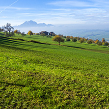 Green meadows above Lake Lucerne, near mount Rigi, Alps, Switzerland