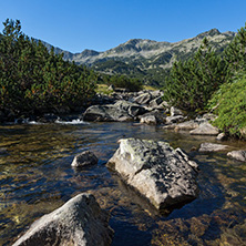 Amazing landscape of Banderitsa river, Pirin Mountain, Bulgaria