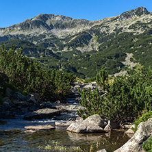 Amazing landscape of Banderitsa river, Pirin Mountain, Bulgaria