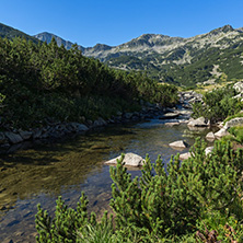 Amazing landscape of Banderitsa river, Pirin Mountain, Bulgaria