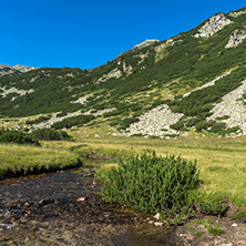 Amazing landscape of Banderitsa river, Pirin Mountain, Bulgaria