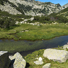 Landscape with Mountain river near Muratov peak, Pirin Mountain, Bulgaria