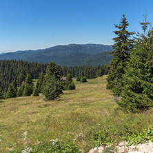 Amazing Summer landscape of Rhodope Mountains near Snezhanka peak and ski resort Pamporovo, Smolyan Region, Bulgaria