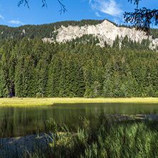 Amazing landscape of  The Grassy (Trevistoto) Smolyan lake at Rhodope Mountains, Smolyan Region, Bulgaria