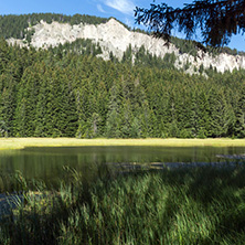 Amazing landscape of  The Grassy (Trevistoto) Smolyan lake at Rhodope Mountains, Smolyan Region, Bulgaria