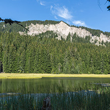 Amazing landscape of  The Grassy (Trevistoto) Smolyan lake at Rhodope Mountains, Smolyan Region, Bulgaria