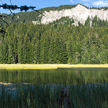 Amazing landscape of  The Grassy (Trevistoto) Smolyan lake at Rhodope Mountains, Smolyan Region, Bulgaria