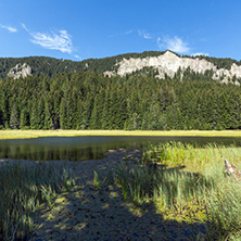 Amazing landscape of  The Grassy (Trevistoto) Smolyan lake at Rhodope Mountains, Smolyan Region, Bulgaria