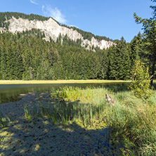 Amazing landscape of  The Grassy (Trevistoto) Smolyan lake at Rhodope Mountains, Smolyan Region, Bulgaria