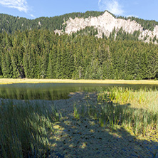 Amazing landscape of  The Grassy (Trevistoto) Smolyan lake at Rhodope Mountains, Smolyan Region, Bulgaria