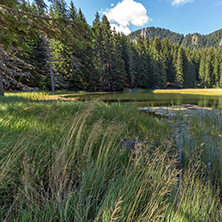 Amazing landscape of  The Grassy (Trevistoto) Smolyan lake at Rhodope Mountains, Smolyan Region, Bulgaria