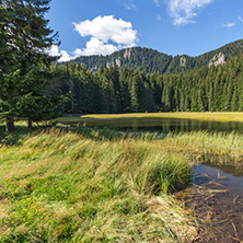 Amazing landscape of  The Grassy (Trevistoto) Smolyan lake at Rhodope Mountains, Smolyan Region, Bulgaria