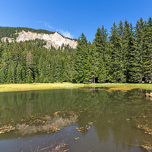 Amazing landscape of  The Grassy (Trevistoto) Smolyan lake at Rhodope Mountains, Smolyan Region, Bulgaria