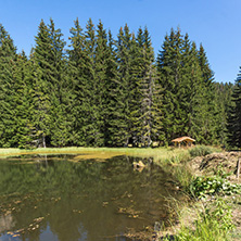 Amazing landscape of  The Grassy (Trevistoto) Smolyan lake at Rhodope Mountains, Smolyan Region, Bulgaria