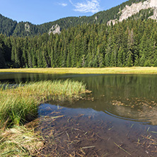 Amazing landscape of  The Grassy (Trevistoto) Smolyan lake at Rhodope Mountains, Smolyan Region, Bulgaria