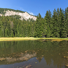 Amazing landscape of  The Grassy (Trevistoto) Smolyan lake at Rhodope Mountains, Smolyan Region, Bulgaria