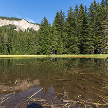 Amazing landscape of  The Grassy (Trevistoto) Smolyan lake at Rhodope Mountains, Smolyan Region, Bulgaria