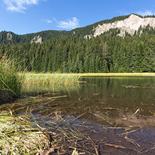 Amazing landscape of  The Grassy (Trevistoto) Smolyan lake at Rhodope Mountains, Smolyan Region, Bulgaria