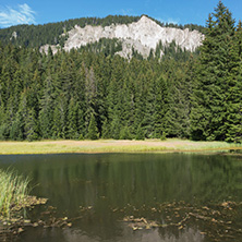 Amazing landscape of  The Grassy (Trevistoto) Smolyan lake at Rhodope Mountains, Smolyan Region, Bulgaria