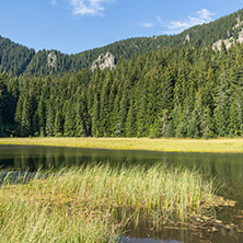 Amazing landscape of  The Grassy (Trevistoto) Smolyan lake at Rhodope Mountains, Smolyan Region, Bulgaria