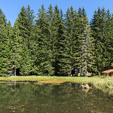 Amazing landscape of  The Grassy (Trevistoto) Smolyan lake at Rhodope Mountains, Smolyan Region, Bulgaria