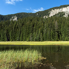 Amazing landscape of  The Grassy (Trevistoto) Smolyan lake at Rhodope Mountains, Smolyan Region, Bulgaria