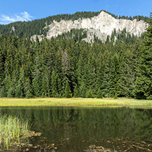 Amazing landscape of  The Grassy (Trevistoto) Smolyan lake at Rhodope Mountains, Smolyan Region, Bulgaria