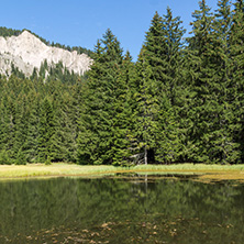 Amazing landscape of  The Grassy (Trevistoto) Smolyan lake at Rhodope Mountains, Smolyan Region, Bulgaria